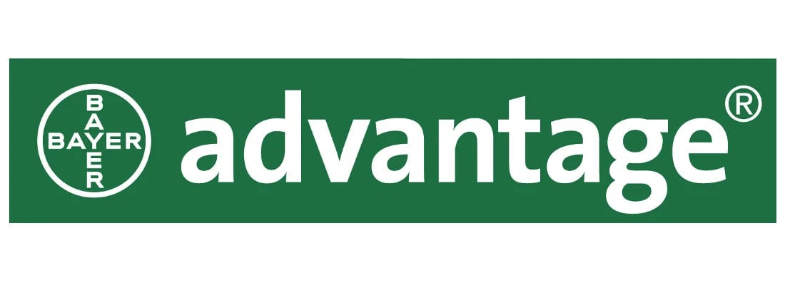 Advantage_1