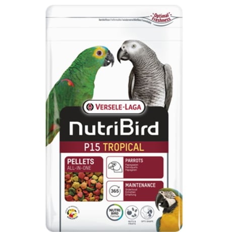 P-15 תוכי גדול טרופי 3 ק"ג