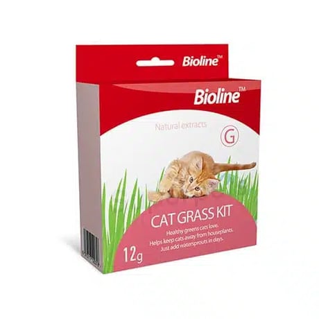 ביוליין ערכת דשא קט גראס לחתול 12 גרם