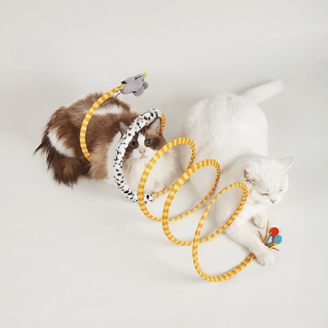 פופוס מנהרת משחק לחתול