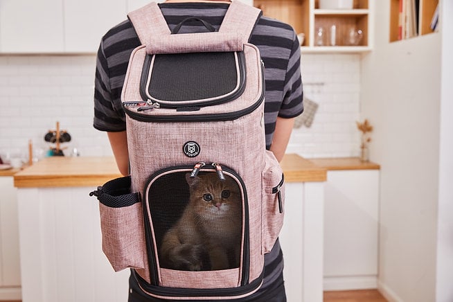 פופוס תיק נשיאת גב לחיות מחמד ורוד