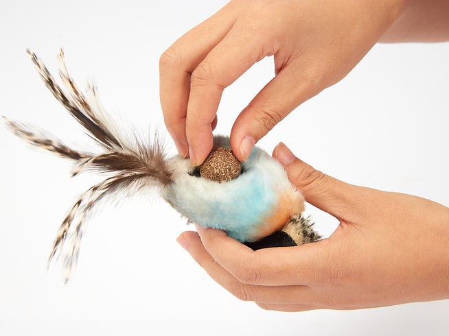 פופוס צעצוע לחתול נשר אינטרקטיבי עם קטניפ