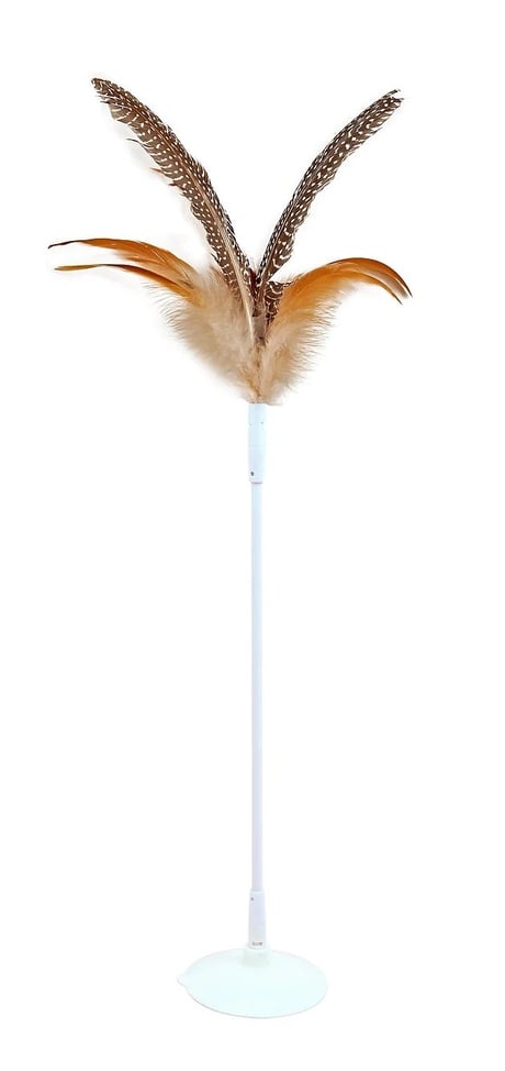 פופוס חכה עם וואקום לחתולים