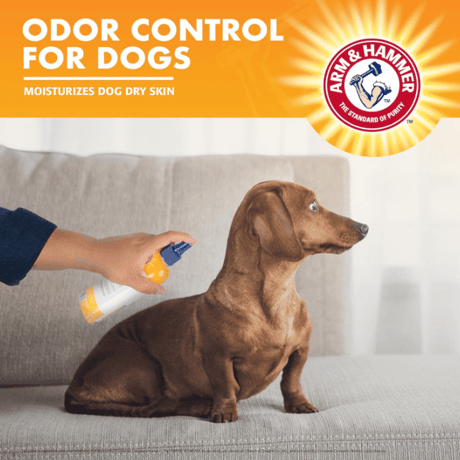 ספריי שמפו יבש לכלב ארמ אנד האמר בשילוב דאורדורנט בניחוח פריחת קיווי 236 מ"ל