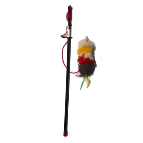 משחק לחתול חכה עכבר מחובלל