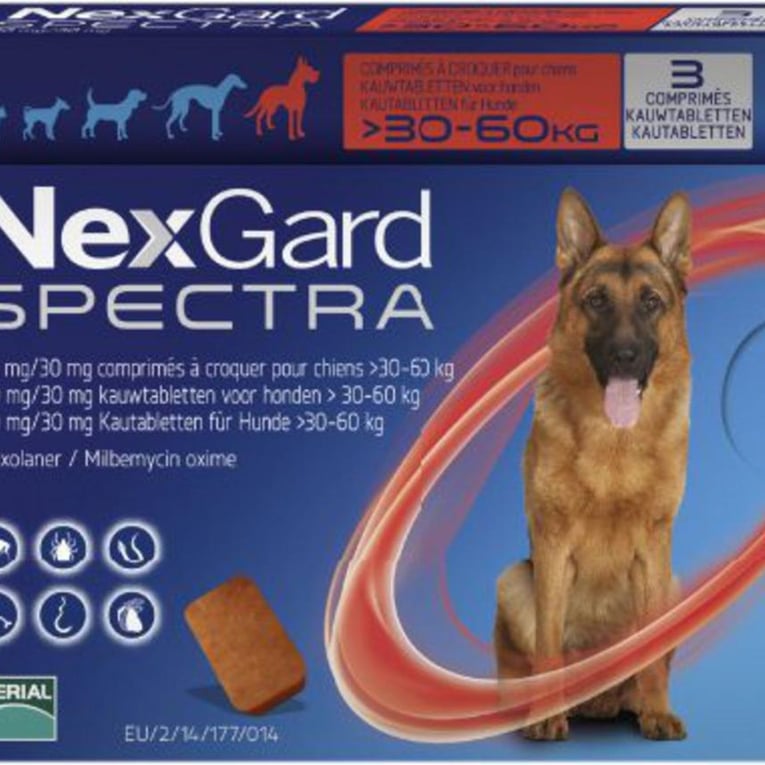 נקסגארד ספקטרה 30-60 ק"ג