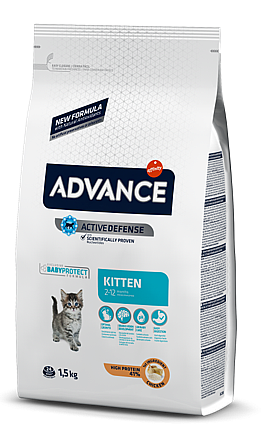 אדוונס חתול קיטן 1.5 ק"ג