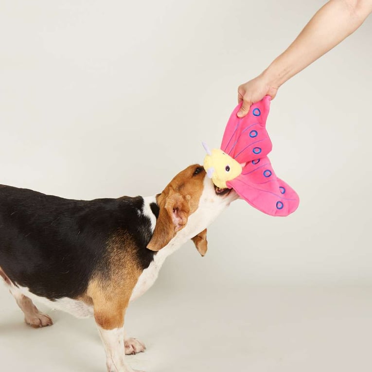 פופוס משחק פרפר ג'מבו ורוד