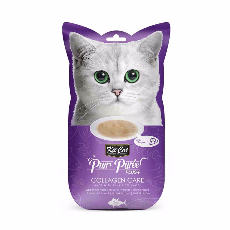 קיט קט מעדן למניעת הזדקנות טונה 60 גרם