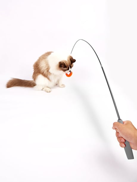 פופוס צעצוע חכה טיזר תולעת נשלף