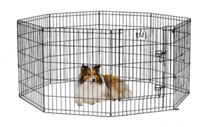 גדר גורים במגוון גדלים