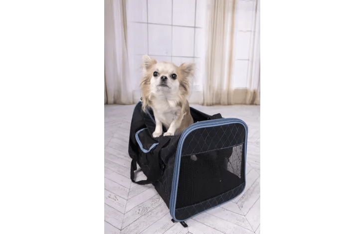 תיק נשיאה "הקון" לכלב ולחתול