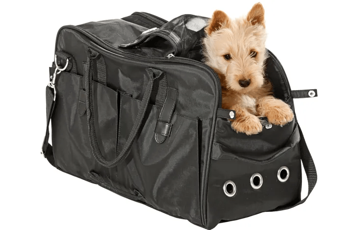 תיק נשיאה טפלון שחור