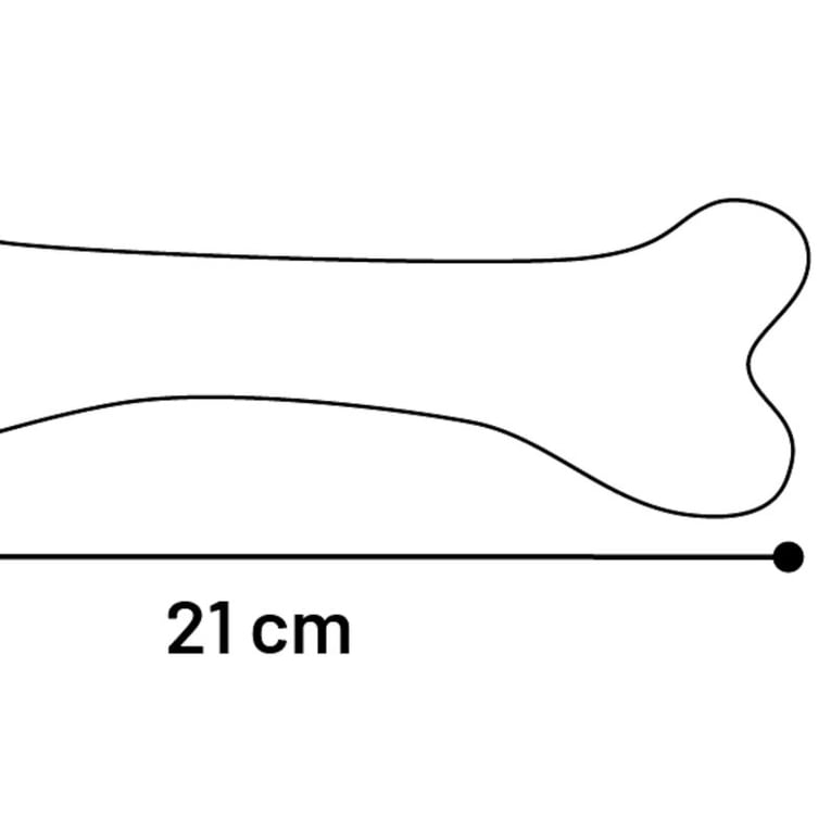 עצם גומי טבעית