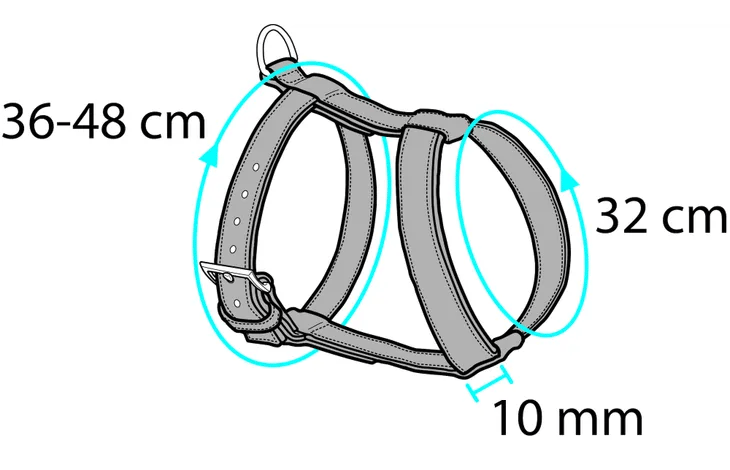 ריתמה ורצועה לחתול במגוון גדלים וצבעים