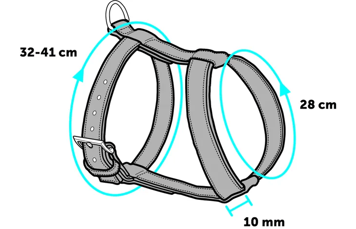 ריתמה ורצועה לחתול במגוון גדלים וצבעים