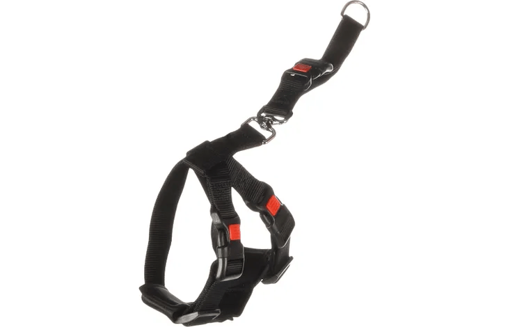 ריתמה לחיבור חגורת בטיחות ברכב במגוון גדלים