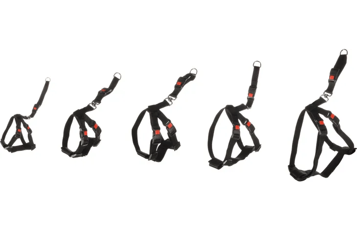 ריתמה לחיבור חגורת בטיחות ברכב במגוון גדלים