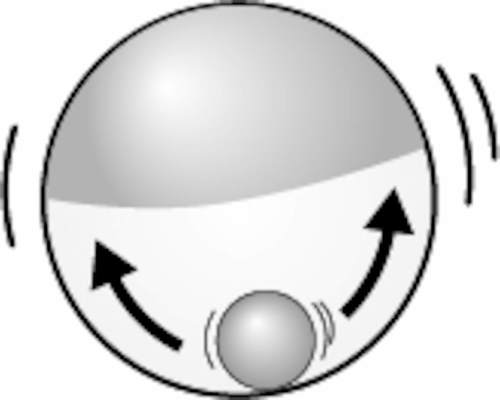 כדור חטיפים לחתול