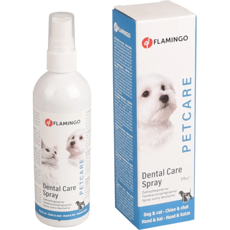 ספריי דנטלי פלמינגו 175 מ"ל