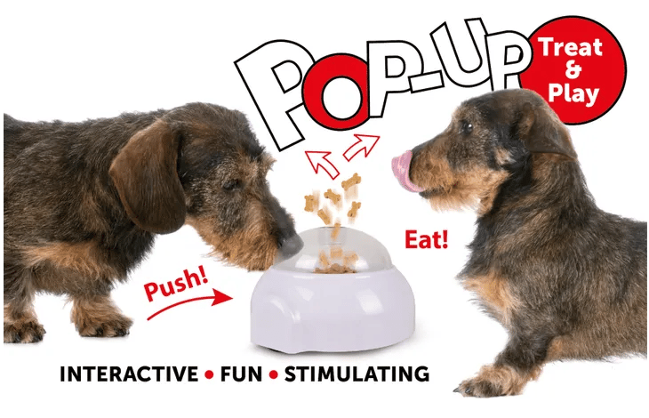 מקפיץ חטיפים ואוכל לכלב