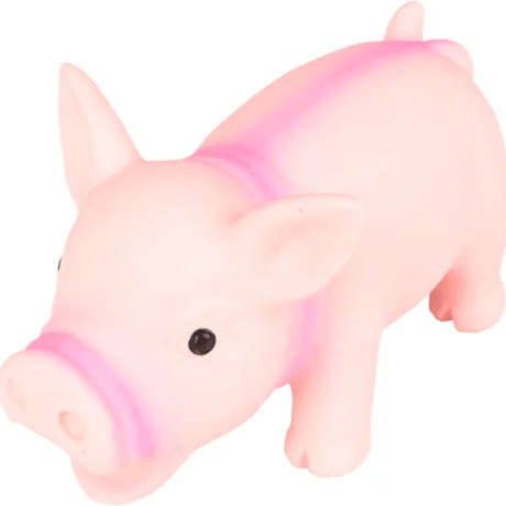 חזיר לטקס ורוד קטן פיונה פלמינגו