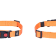 קולרי זיגי במגוון צבעים וגדלים