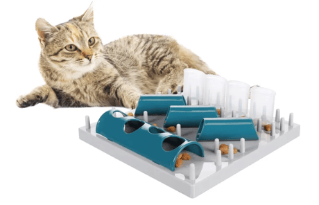 משחק האכלה איטית לחתול פומבו פלמינגו