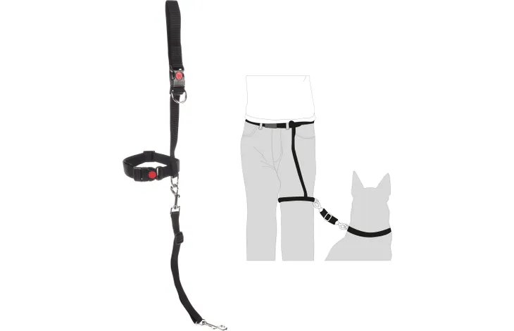 רצועה לרגל פלמינגו