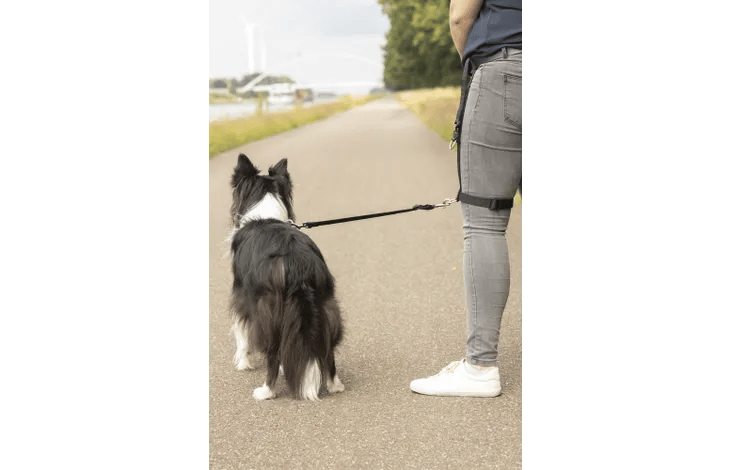 רצועה לרגל פלמינגו