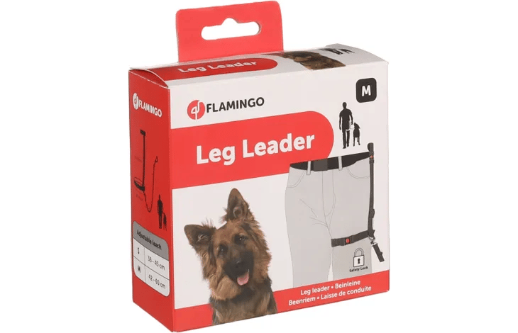 רצועה לרגל פלמינגו