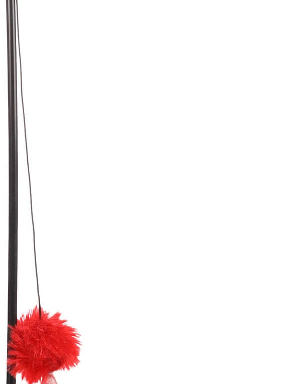 חכה לחתול "קטצ'י"