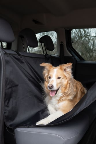 כיסוי למושב רכב אחורי עם רוכסן פלמינגו