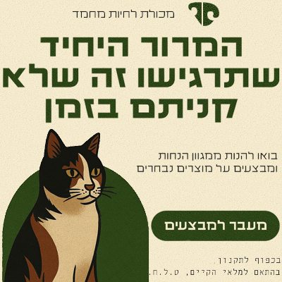 באנר מבצעי החודש