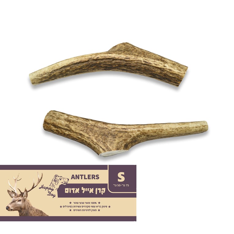 קרן אייל אדמוני