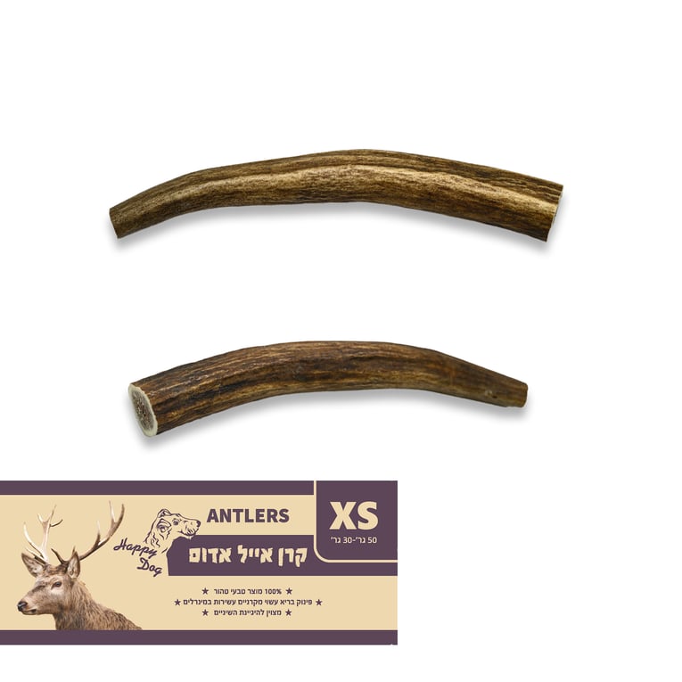 קרן אייל אדמוני