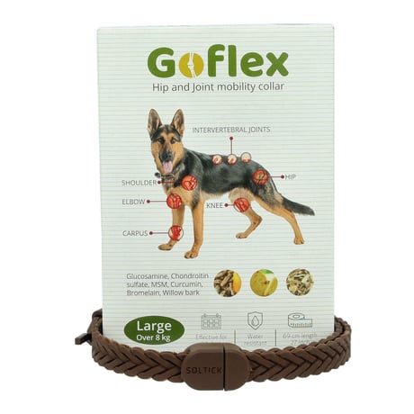 גו פלקס קולר ג'וינט לכלב מעל 8 ק"ג
