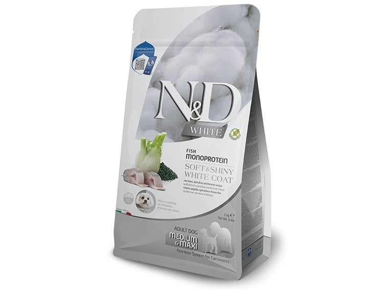 ND בוגר כלב לבן 7 ק"ג