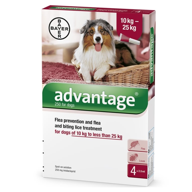 אדוונטג' לכלב 10–25 ק״ג – Advantage Dog 10–25kg