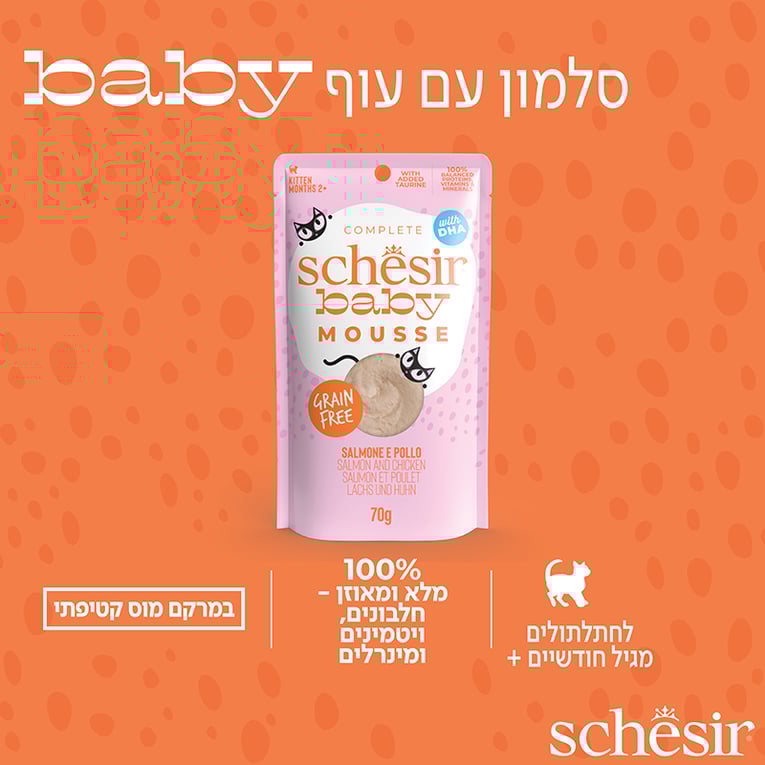 שזיר חתלתולים מוס סלמון 70 גרם