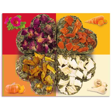 JR גריינלס חטיף לב פינוק בריאות למכרסמים