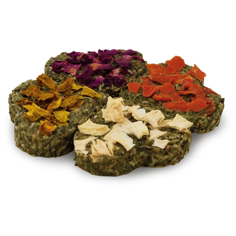 JR גריינלס חטיף לב פינוק בריאות למכרסמים