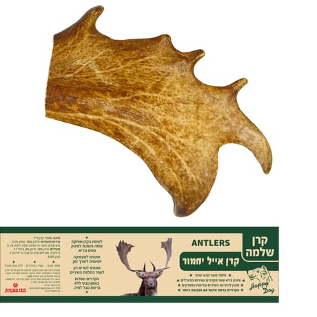 קרן אייל יחמור שלמה