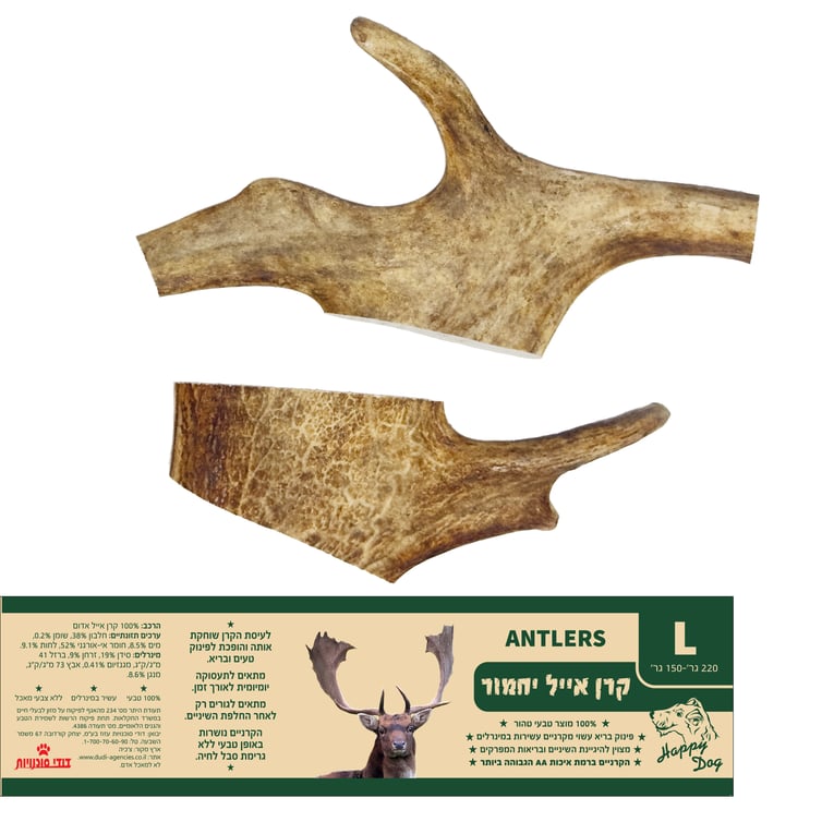 קרן אייל יחמור