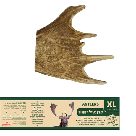 קרן אייל יחמור