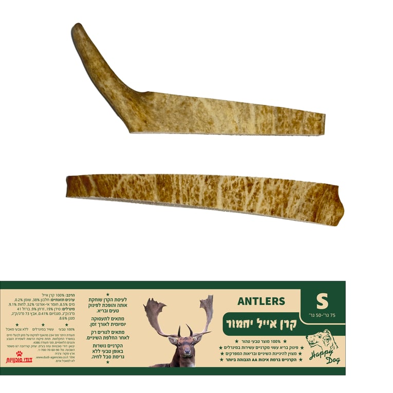 קרן אייל יחמור