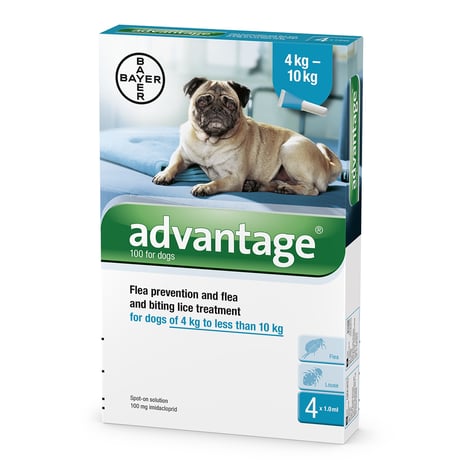 אדוונטג' לכלב 4-10 ק"ג - Advantage dog 4-10 kg
