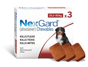 נקסגארד 3 כדורים נגד פרעושים וקרציות 25-50 ק”ג - NexGard
