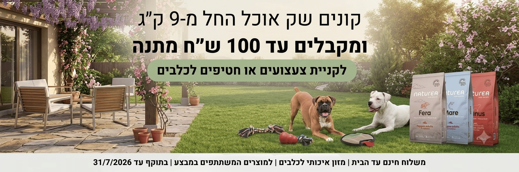 דסקטופ