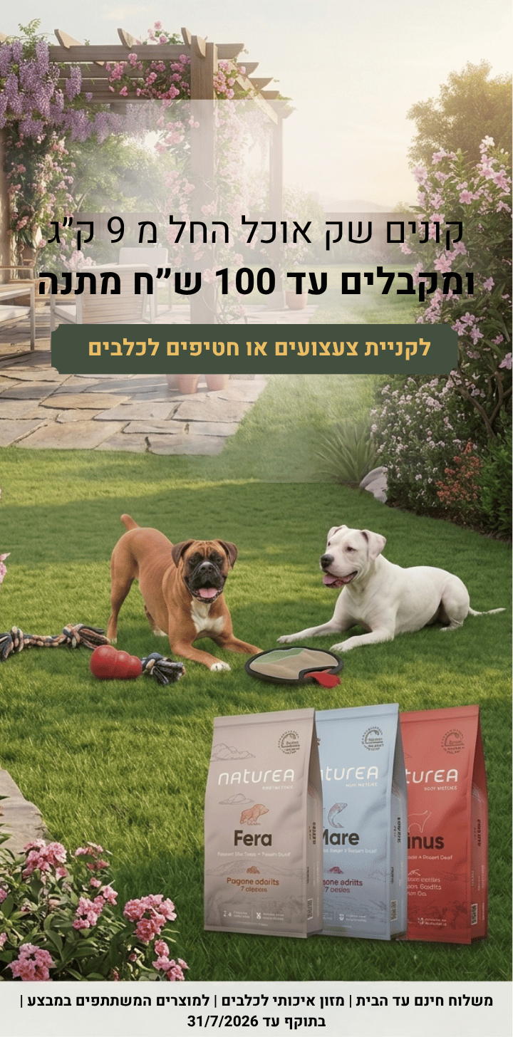 מובייל